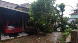 BPBD Kabupaten Pandeglang melakukan pembersihan material yang diakibatkan oleh peristiwa hujan yang disertai angin kencang di Kabupaten Pandeglang. (Dok. BPBD Kabupaten Pandeglang)
