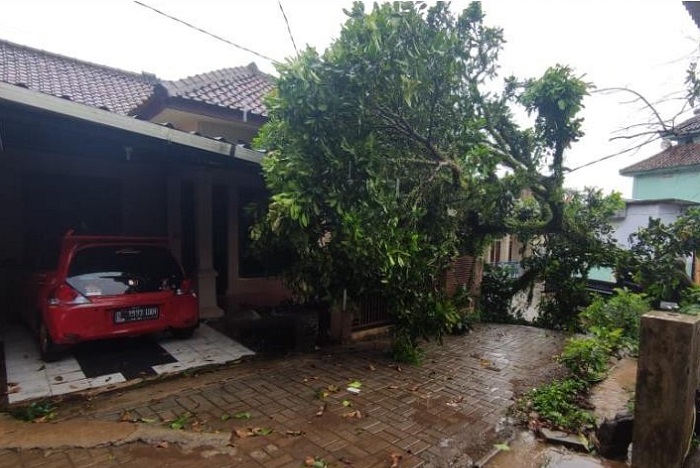 BPBD Kabupaten Pandeglang melakukan pembersihan material yang diakibatkan oleh peristiwa hujan yang disertai angin kencang di Kabupaten Pandeglang. (Dok. BPBD Kabupaten Pandeglang)
