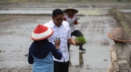 Wakil Menteri Pertanian (Wamentan) Sudaryono di Kecamatan Wonosari, Kabupaten Klaten. (Dok. Kementan)