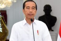 Mantan Presiden ke-7 RI Joko Widodo. (Dok. Presidenri.go.id)
